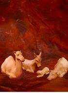 Cr�che les Animaux