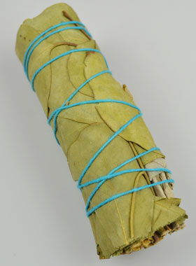 Smudge de Sauge Blanche & Eucalyptus 25g - Fagot 10cm (pic 1)