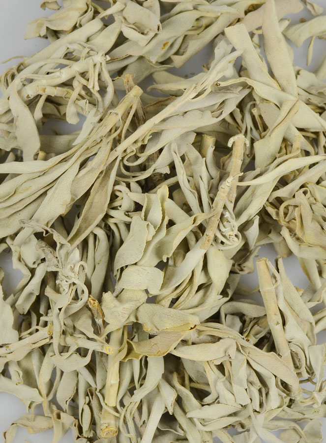 Sauge Blanche de Californie en Vrac - 50g (pic 3)