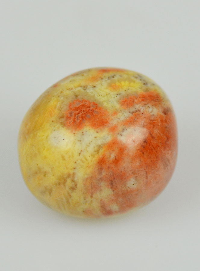 Pierre Roulée de Corail Fossile (pic 3)