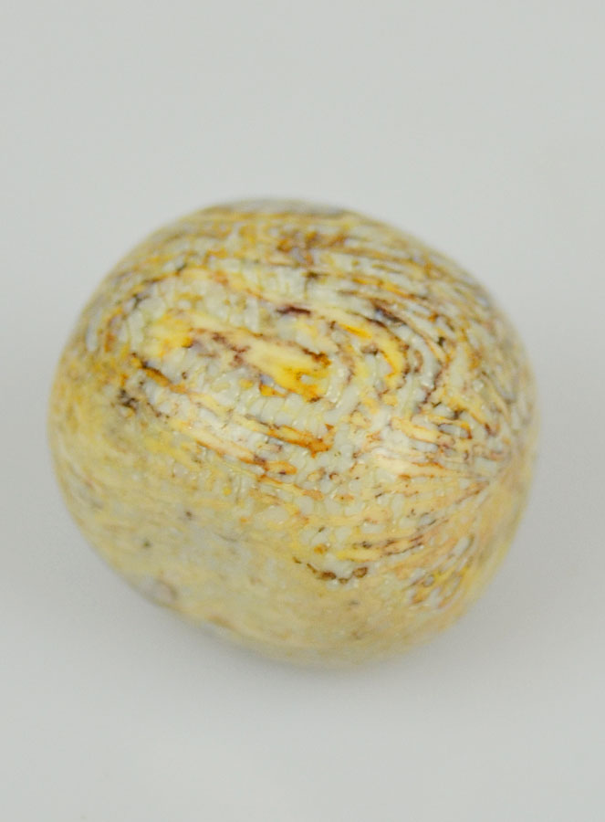 Pierre Roulée de Corail Fossile (pic 4)