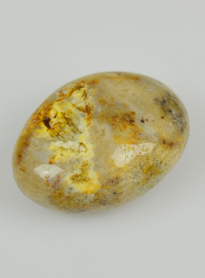 Pierre Roulée Corail Fossile d'Amérique (pic 3)