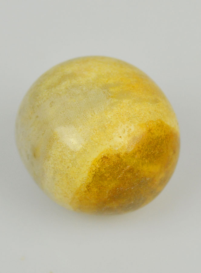 Pierre Roulée Corail Fossile d'Amérique (pic 4)