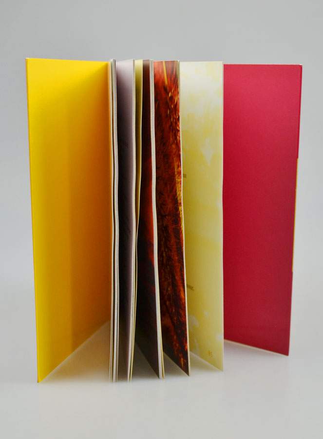 Livre Prier pour les Familles Séparées (pic 4)