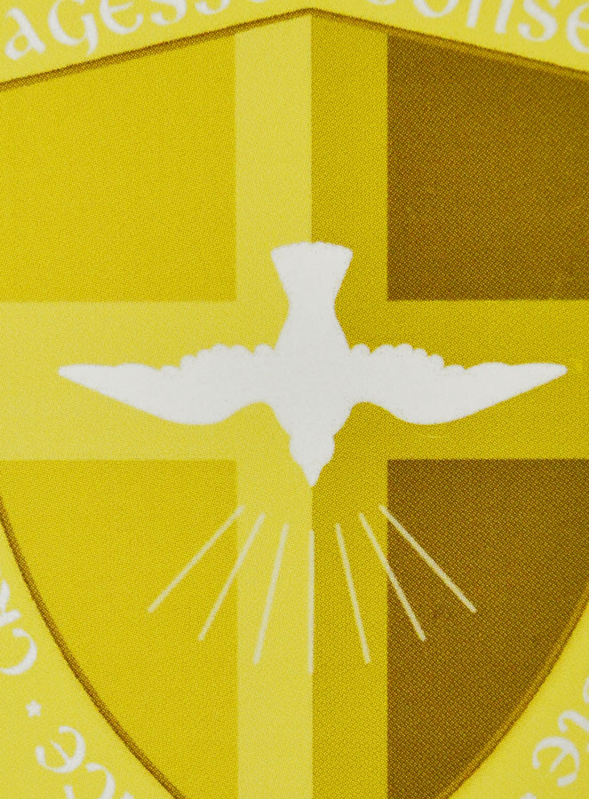 Carte de Confirmation - Bouclier des 7 Dons de l'Esprit Saint - Jaune (pic 3)