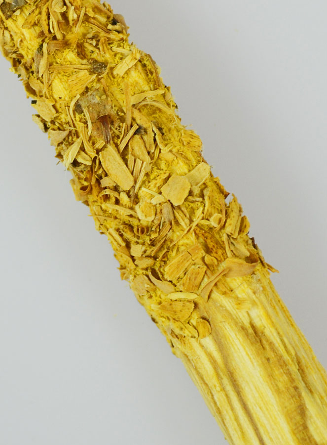 Smudge de Palo Santo & Calendula du Pérou (pic 3)