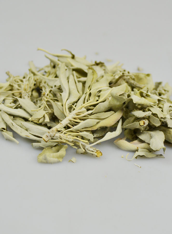Sauge Blanche de Californie en Vrac - 25g (pic 3)