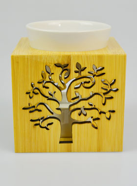 Brûle Parfum et Huile Essentielle Arbre de Vie (pic 1)