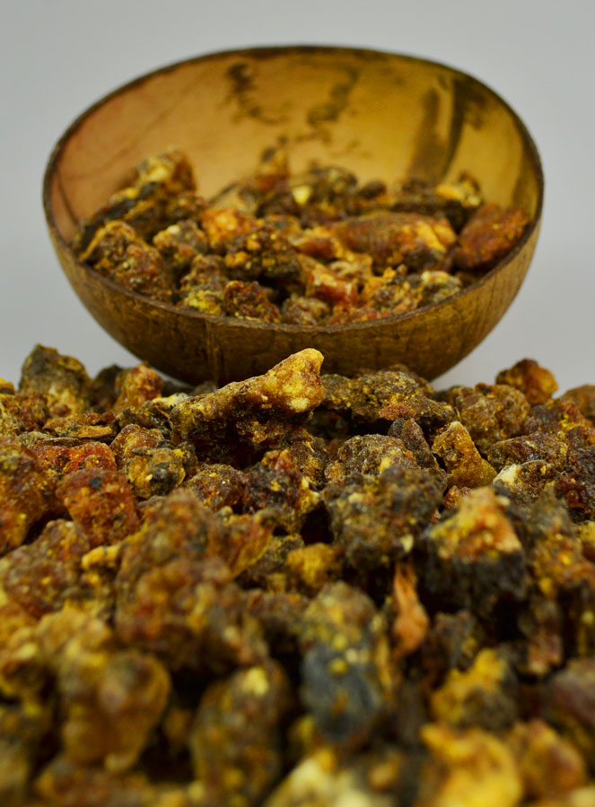 Encens Religieux en Grains Opoponax - 50g (pic 3)