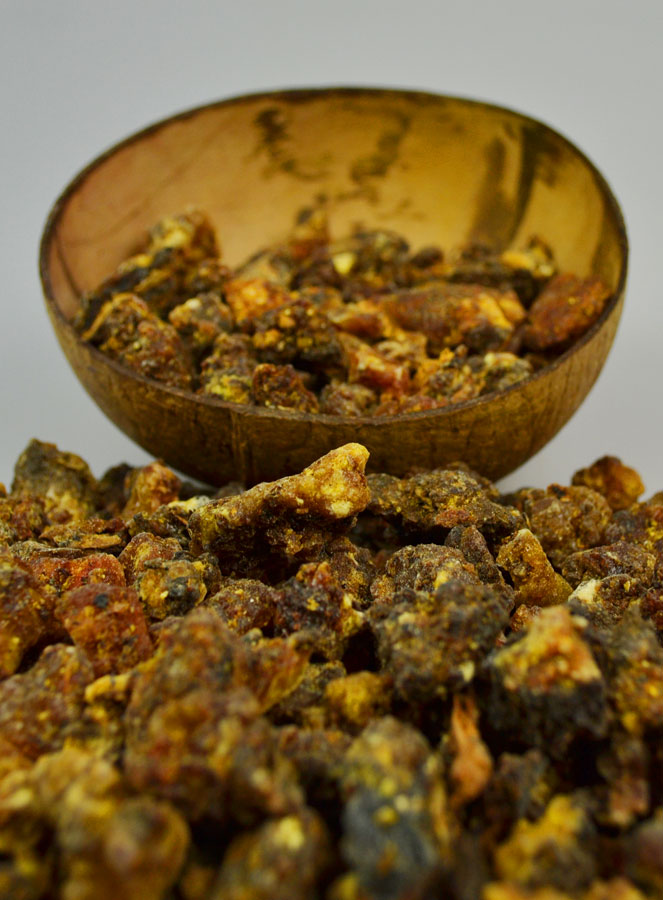 Encens Religieux en Grains Opoponax - 250g (pic 3)