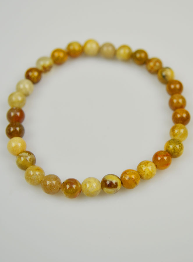 Bracelet en Pierre Naturelle de Corail Fossile - 6mm (pic 3)