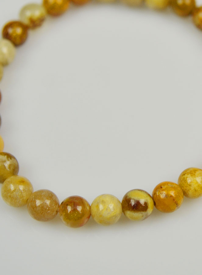 Bracelet en Pierre Naturelle de Corail Fossile - 6mm (pic 4)