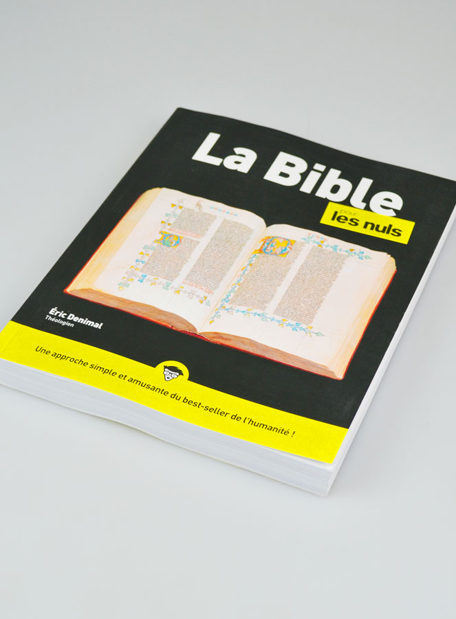 La Bible Pour les Nuls (pic 2)