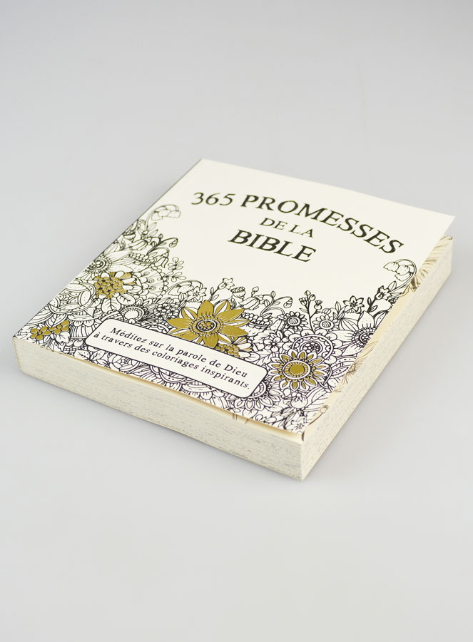 365 Promesses de la Bible - Carnet Méditatif de Mandalas à Colorier (pic 2)