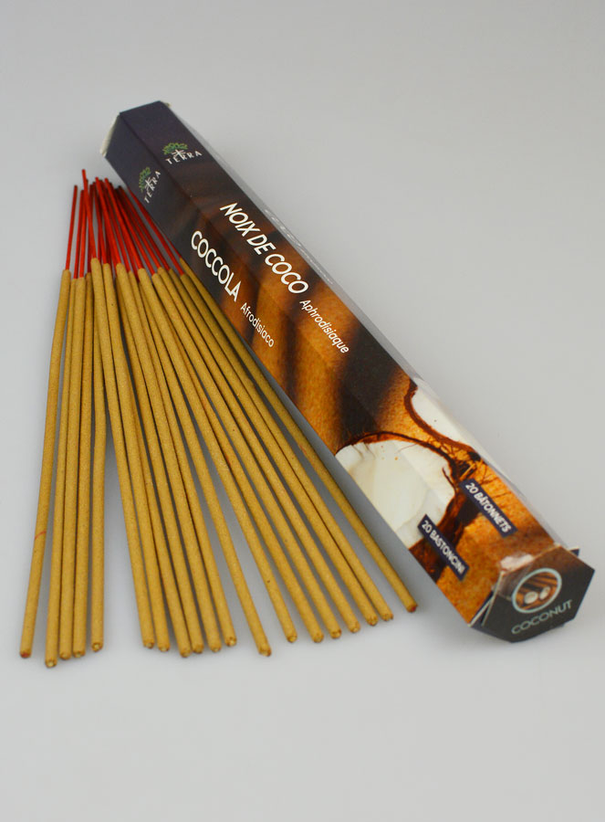 Encens en Bâtonnets Noix de Coco 20g - Sans Charbon (pic 2)