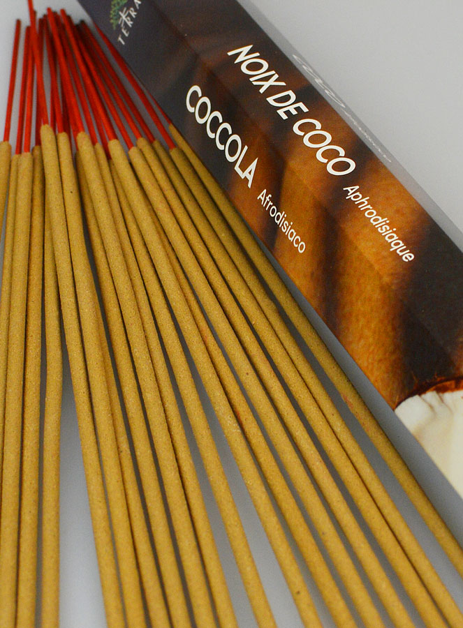 Encens en Bâtonnets Noix de Coco 20g - Sans Charbon (pic 4)