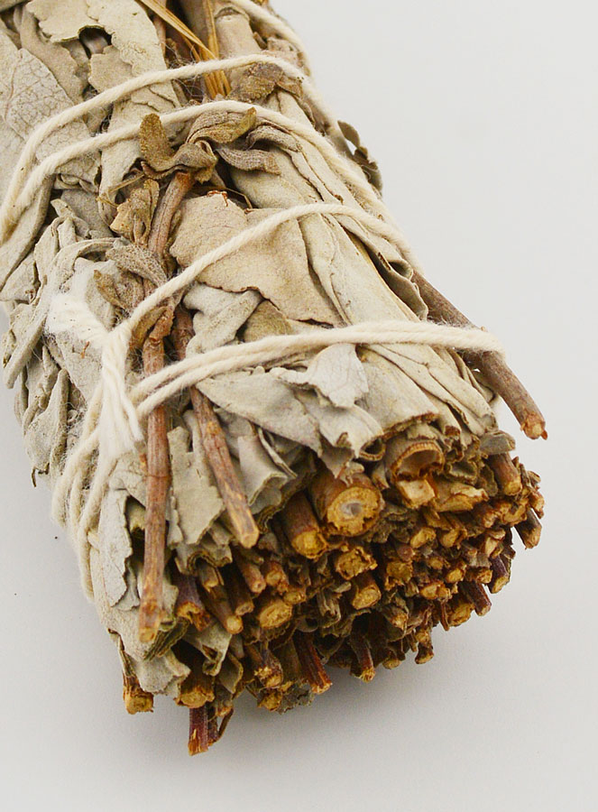 Smudge de Sauge Blanche Royale de Californie (pic 4)