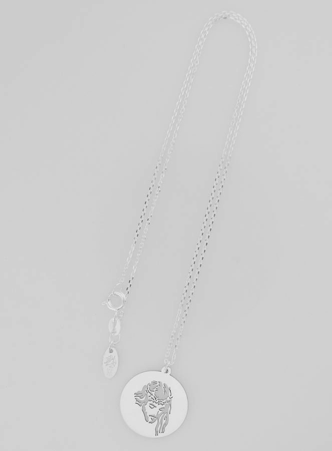 Collier Religieux en Argent - Jésus Christ 20mm (pic 2)