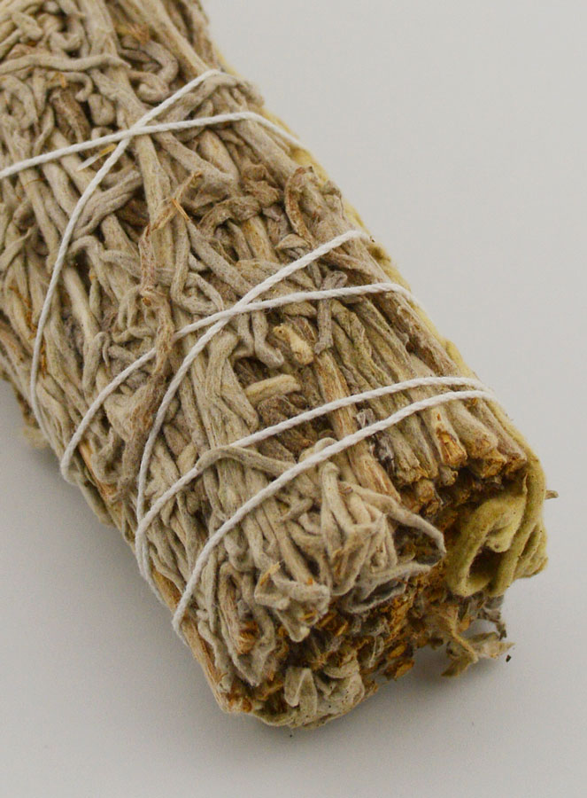 Sauge Verte - Fagot 30g (pic 4)