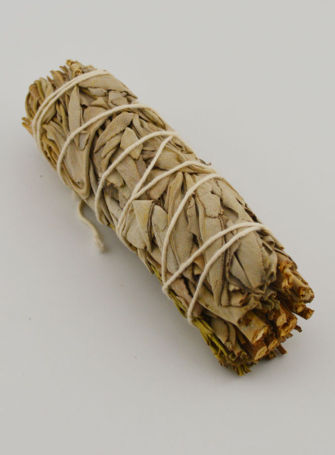 Sauge Blanche & Romarin - Fagot 20g (pic 2)