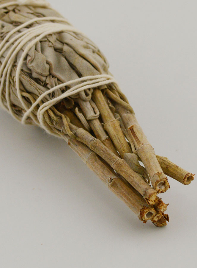 Sauge Blanche de Californie - Torche 20-25g (pic 4)
