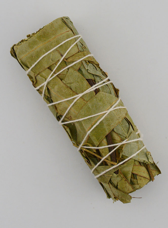Eucalyptus - Fagot 30g (pic 1)