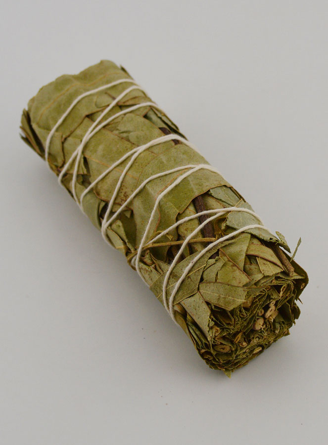 Eucalyptus - Fagot 30g (pic 2)