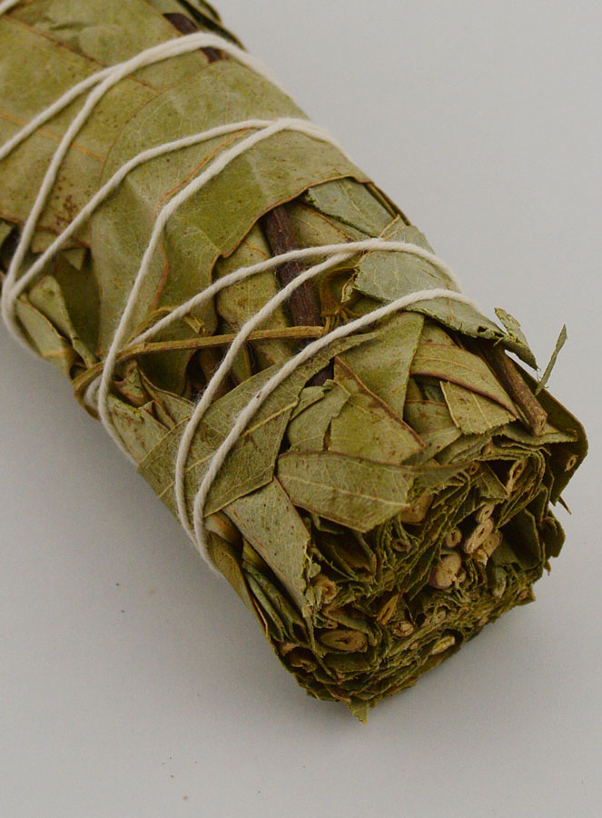 Eucalyptus - Fagot 30g (pic 4)