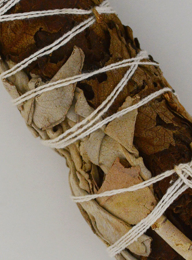 Sauge Blanche & Sauge Noire - Fagot 35g (pic 3)