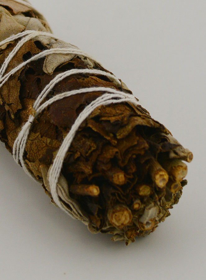 Sauge Blanche & Sauge Noire - Fagot 35g (pic 4)