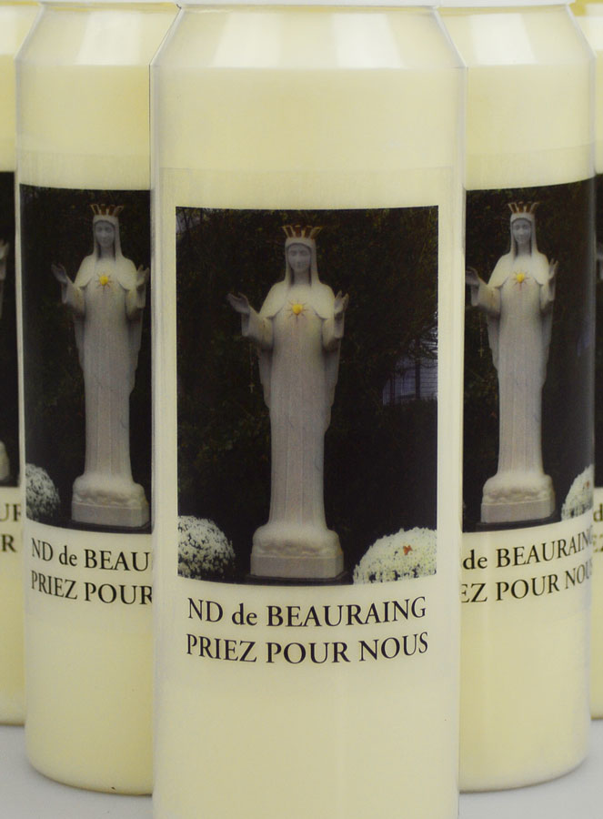Lot de 10 Bougies de Neuvaine Notre Dame de Beauraing (pic 3)