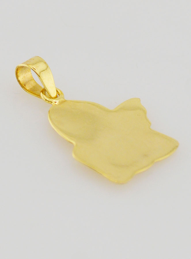 Médaille Ange Gardien en Or 375/1000 - 14mm (pic 4)