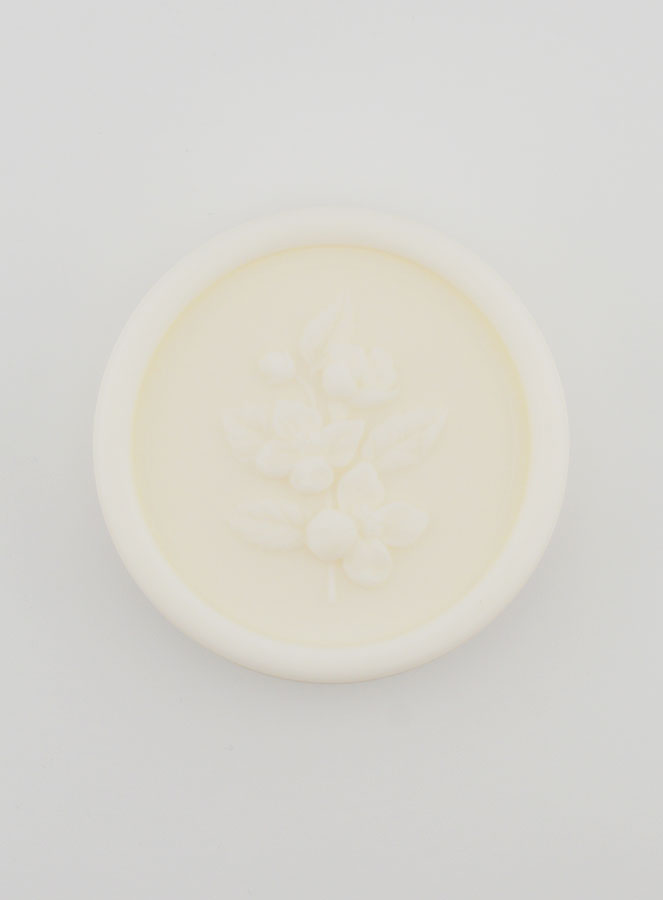 Savon au Lait de Chèvre Bio - 100g (pic 1)