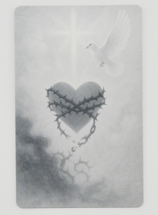 Lot de 10 Cartes de Prière Pour Être Délivré du Mal (pic 3)