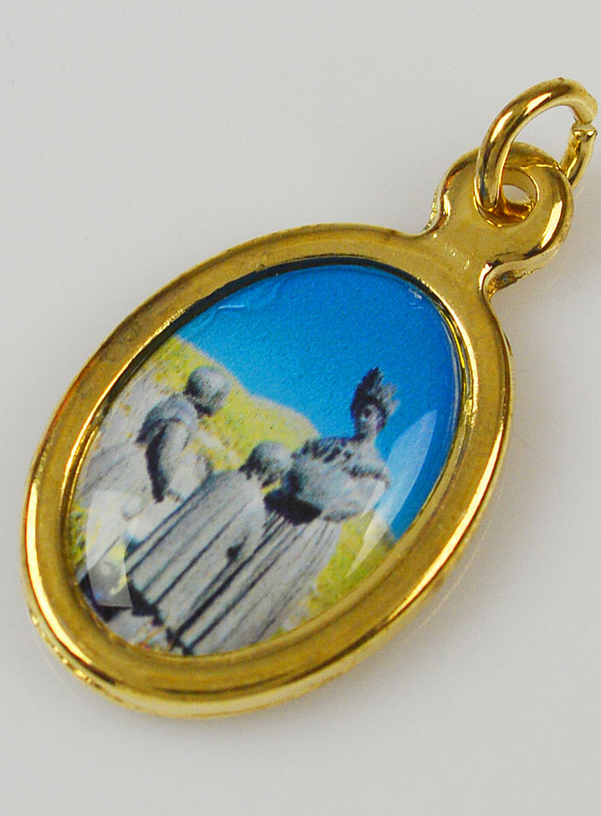 Médaille Notre Dame de la Salette (pic 4)