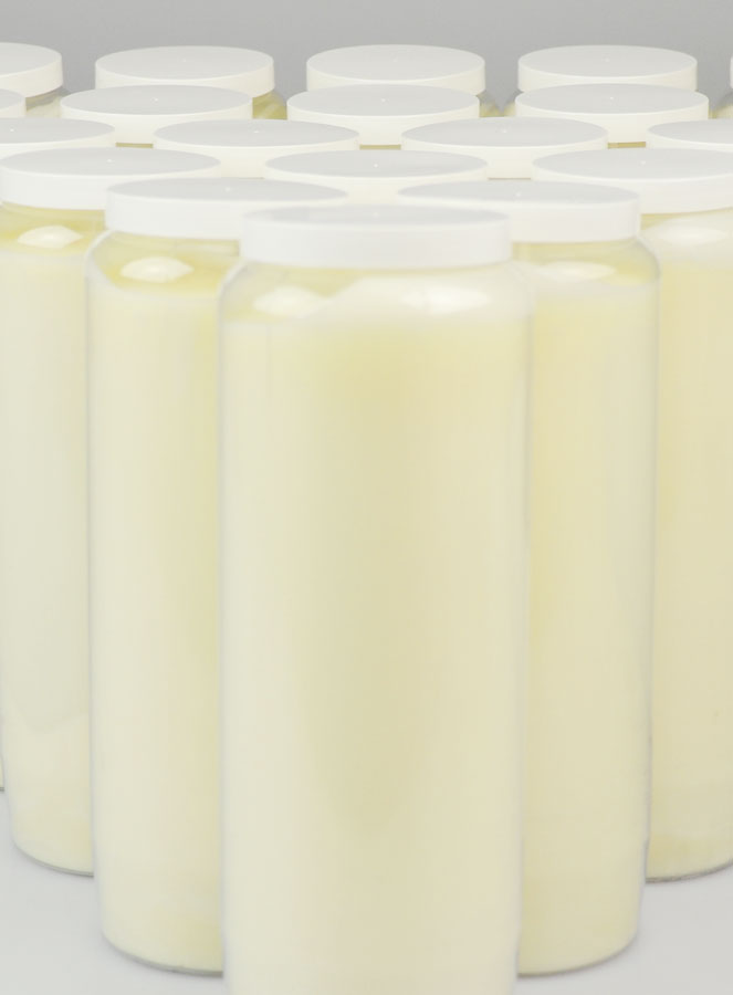 Lot de 20 Bougies de Neuvaine Blanches (pic 2)