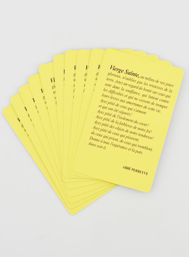 Lot de 10 Cartes de Prières à Notre Dame de Lourdes (pic 3)
