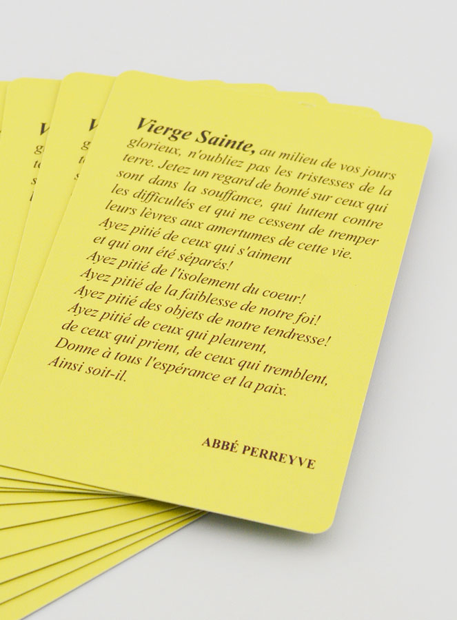 Lot de 10 Cartes de Prières à Notre Dame de Lourdes (pic 4)