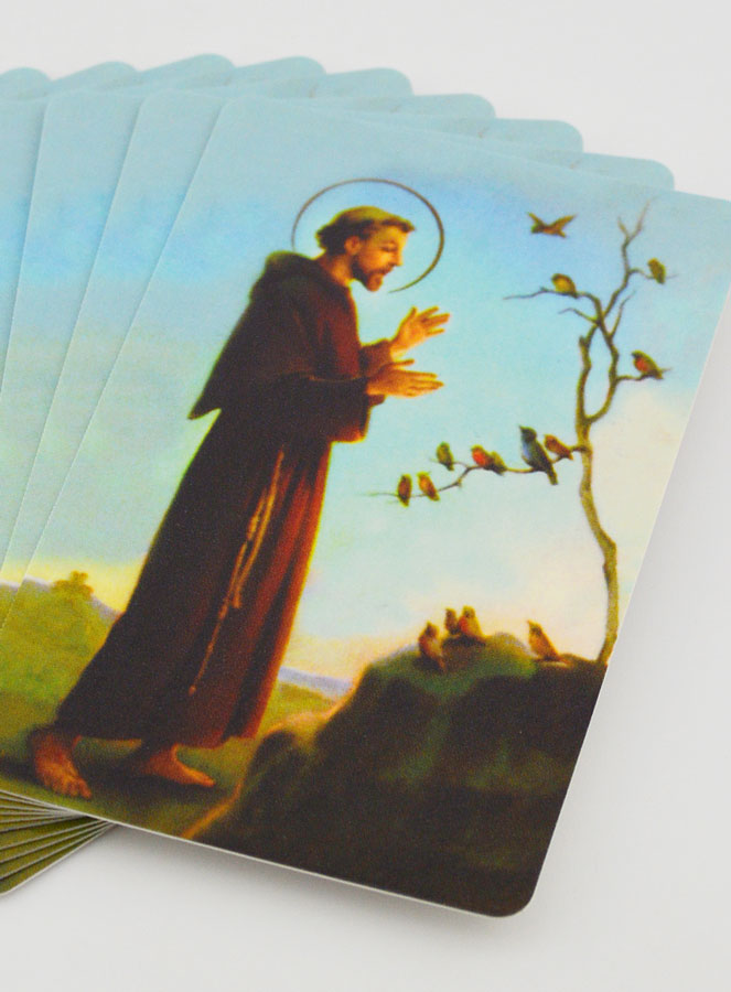 Lot de 10 Cartes de Prières à Saint François (pic 2)