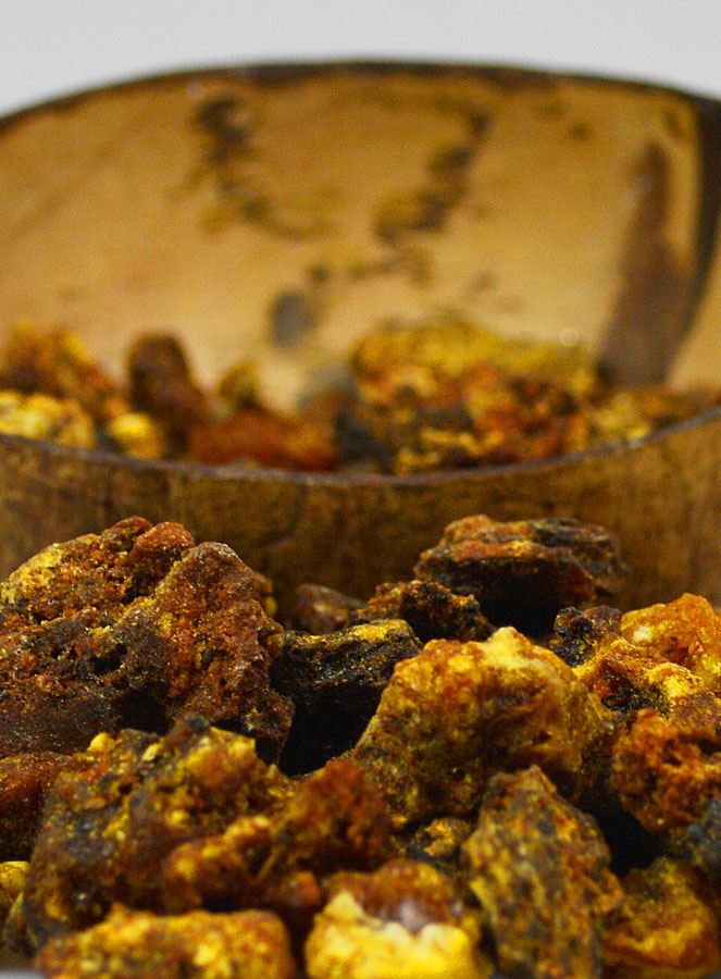 Encens Opoponax en Grains 100g (pic 3)