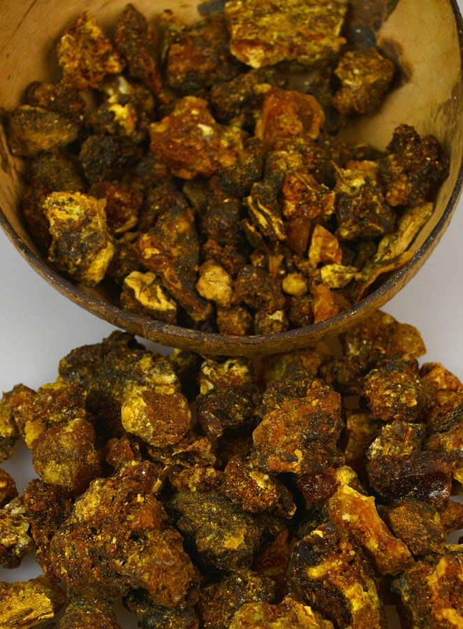 Encens Opoponax en Grains 100g (pic 4)