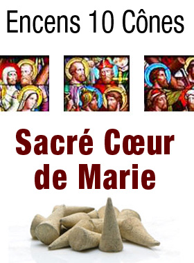 Encens Sacré Coeur de Marie en Cones (pic 1)