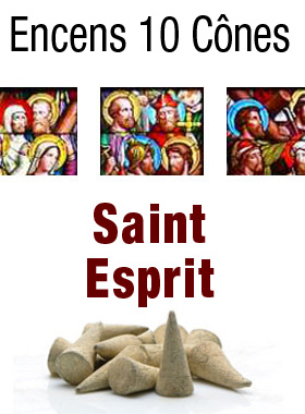 Encens Saint Esprit en Cones (pic 1)