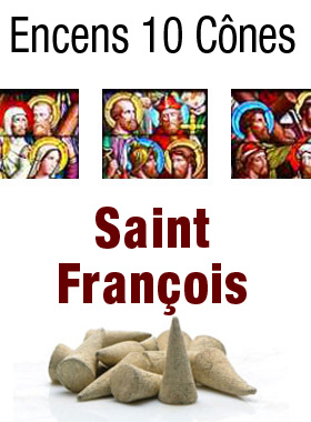 Encens Saint François en Cones (pic 1)