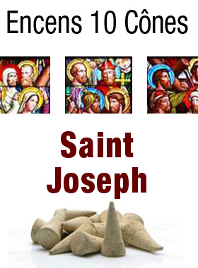 Encens Saint Joseph en Cones (pic 1)