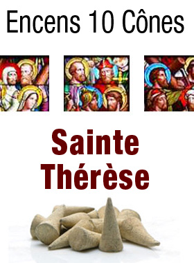 Encens Sainte Thérèse en Cones (pic 1)