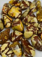 Pierre Roulée Jaspe Zèbre Brun