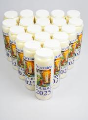Lot de 20 Bougies de Neuvaine Prière à Lourdes 2025 - 17.5cm