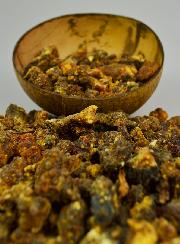 Encens Religieux en Grains Opoponax - 50g