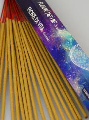 Encens en Bâtonnets Fleur de Vie 20g - Sans Charbon